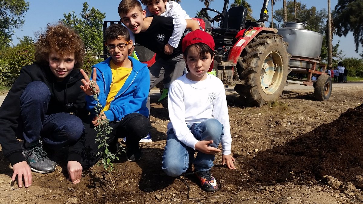 נטיעות בסילבר