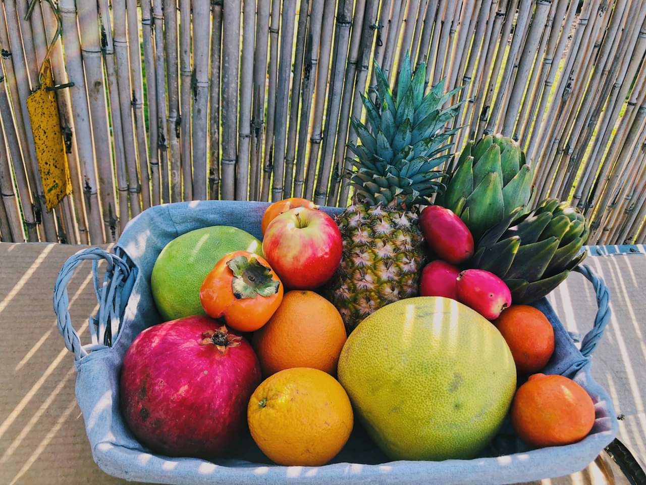 משק מ. י טל בעמ