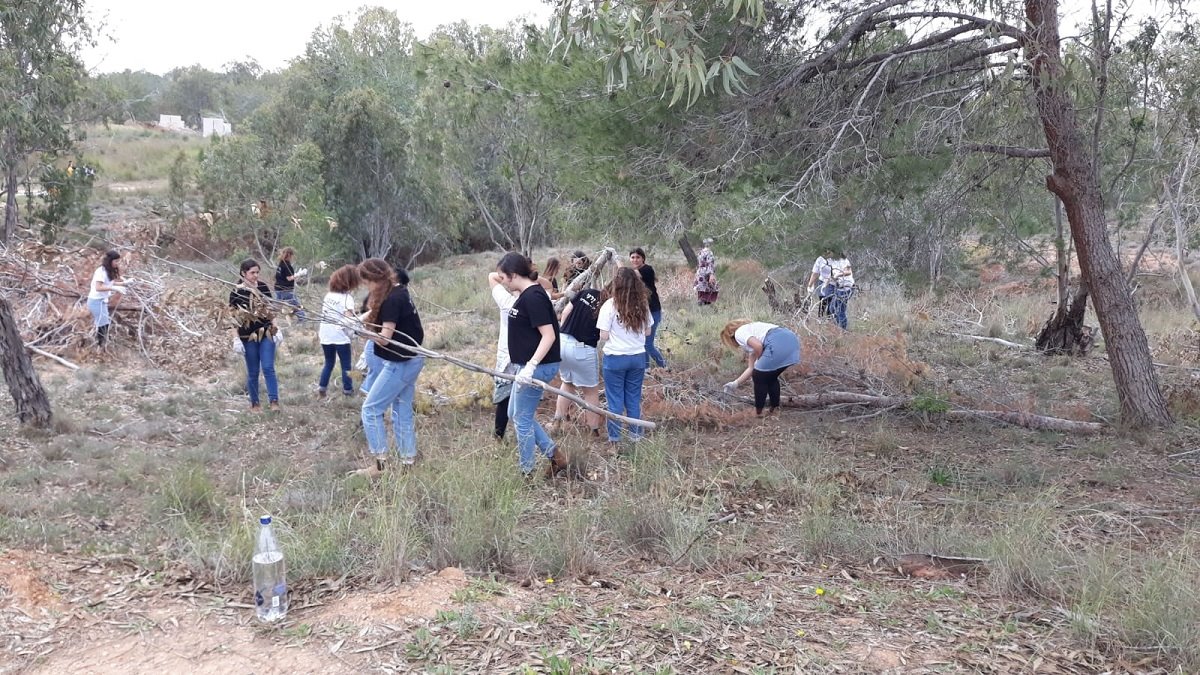 חניכי המכינות ביער- צילום קק&quot;ל