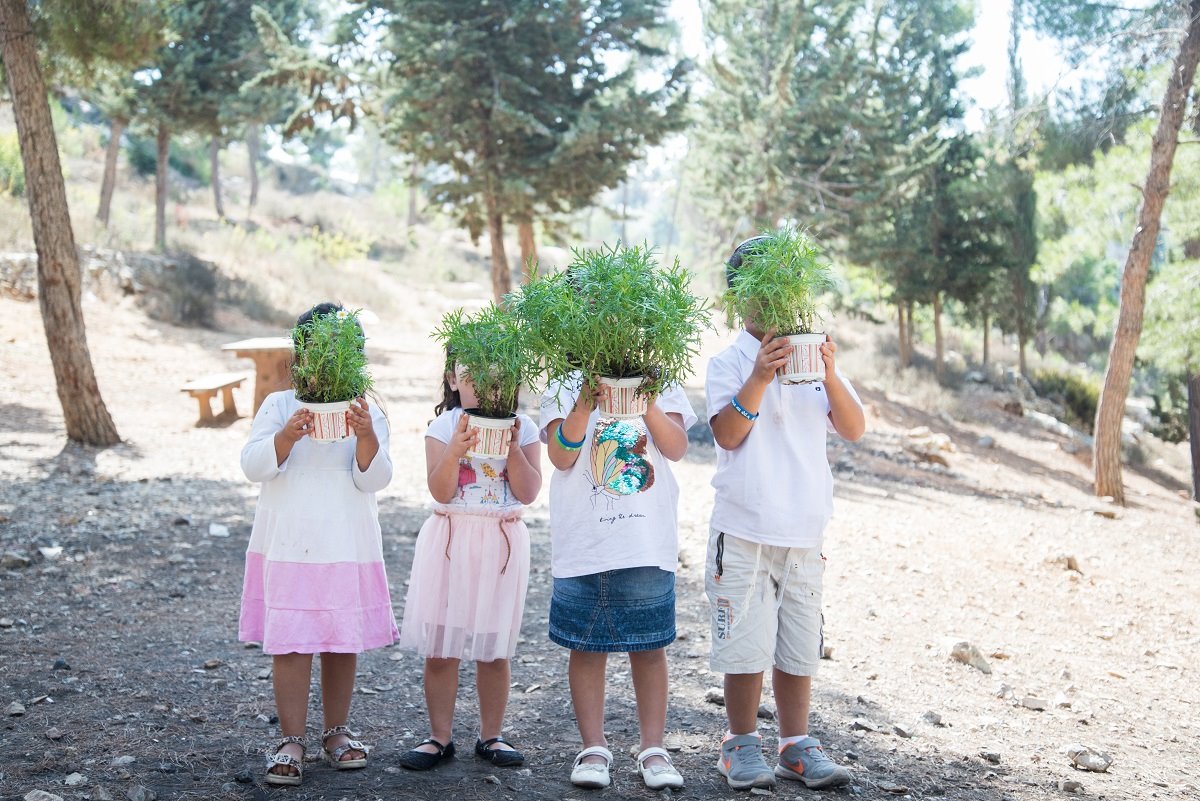 נטיעות קק"ל -נעמי אדרי