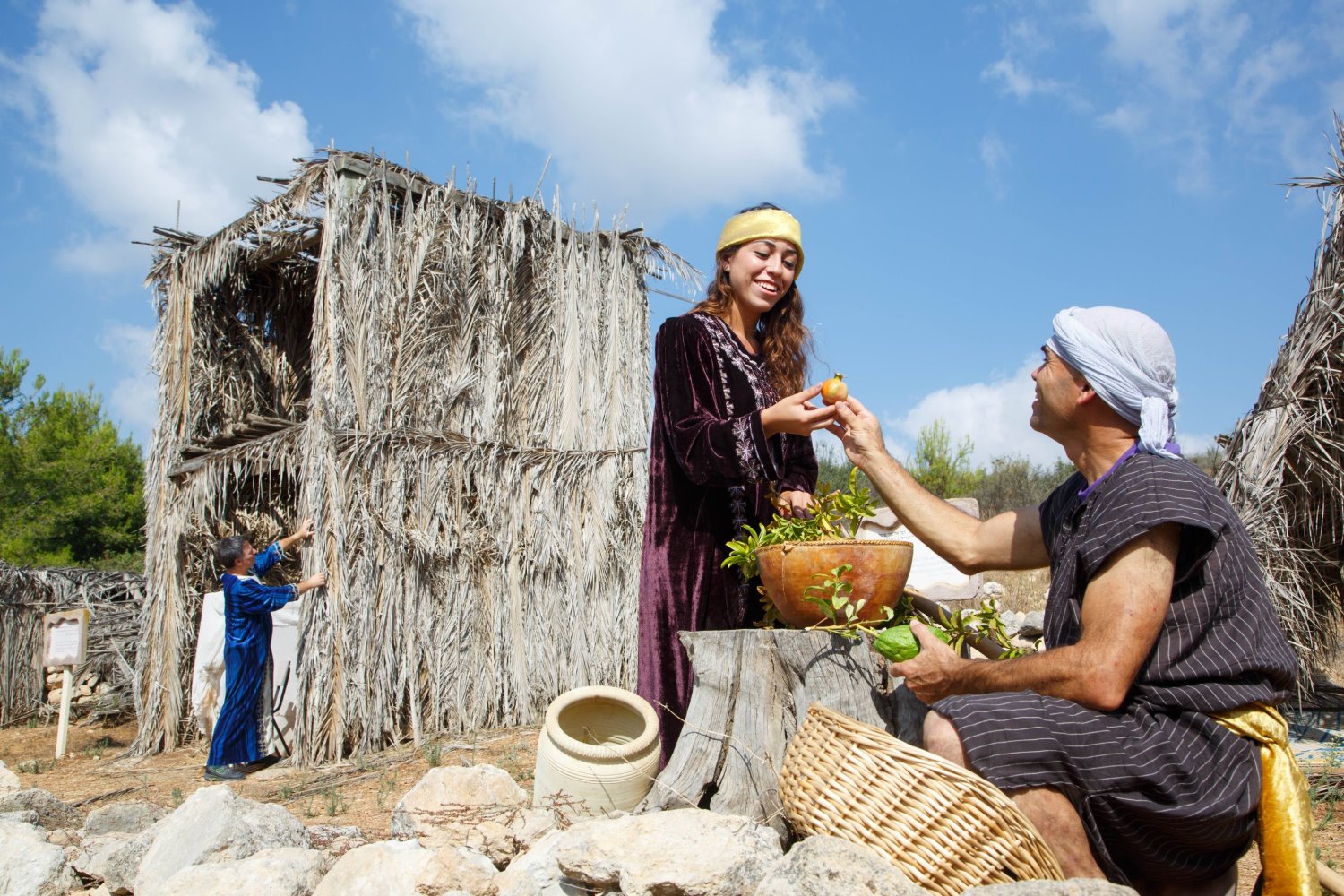סוכות בנאות קדומים. צילום: איתי בלסון