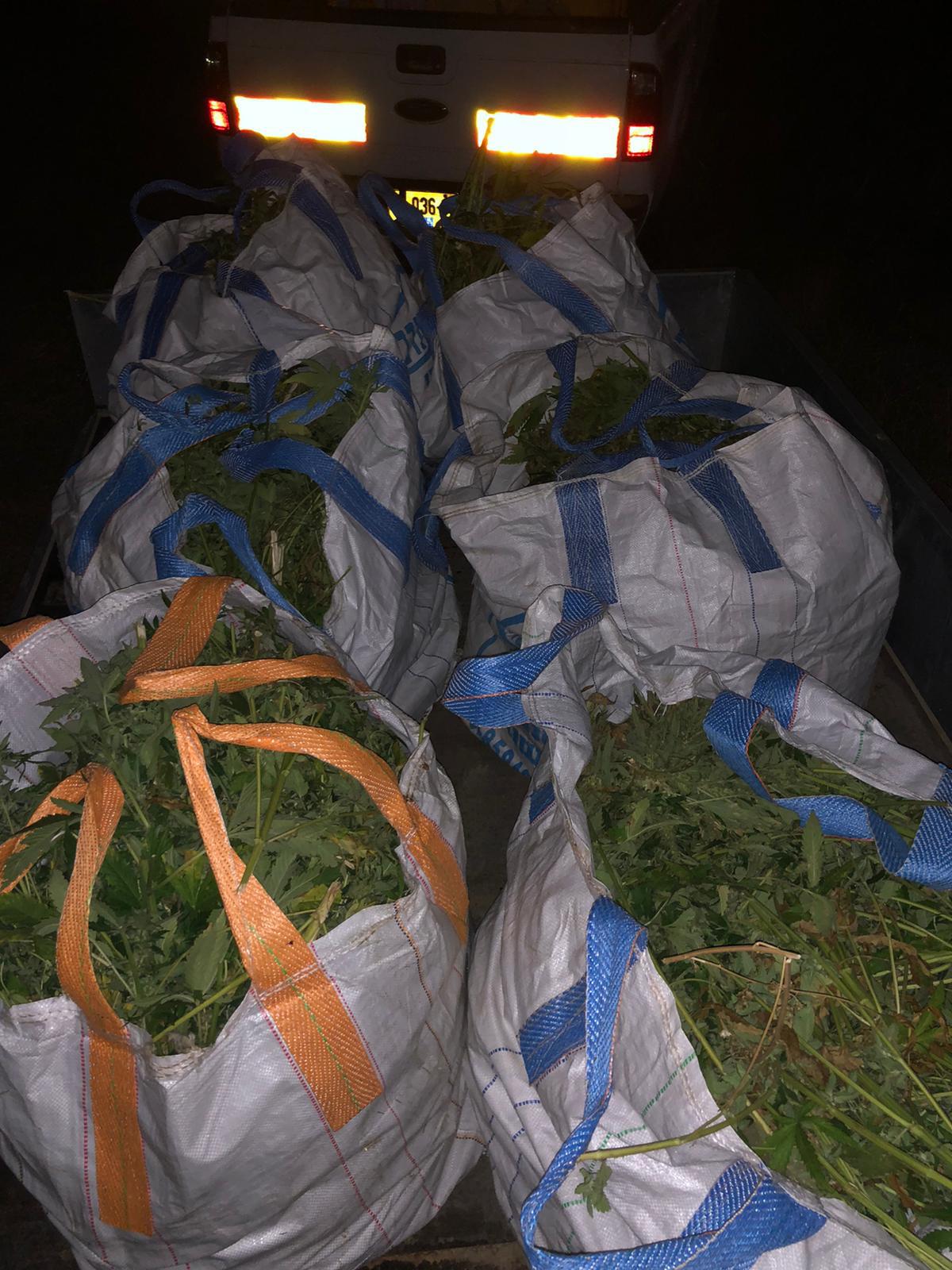 צילום: דוברות המשטרה