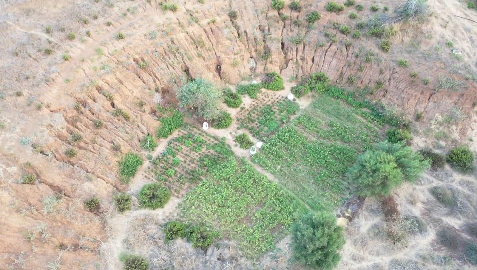 צילום: דוברות המשטרה