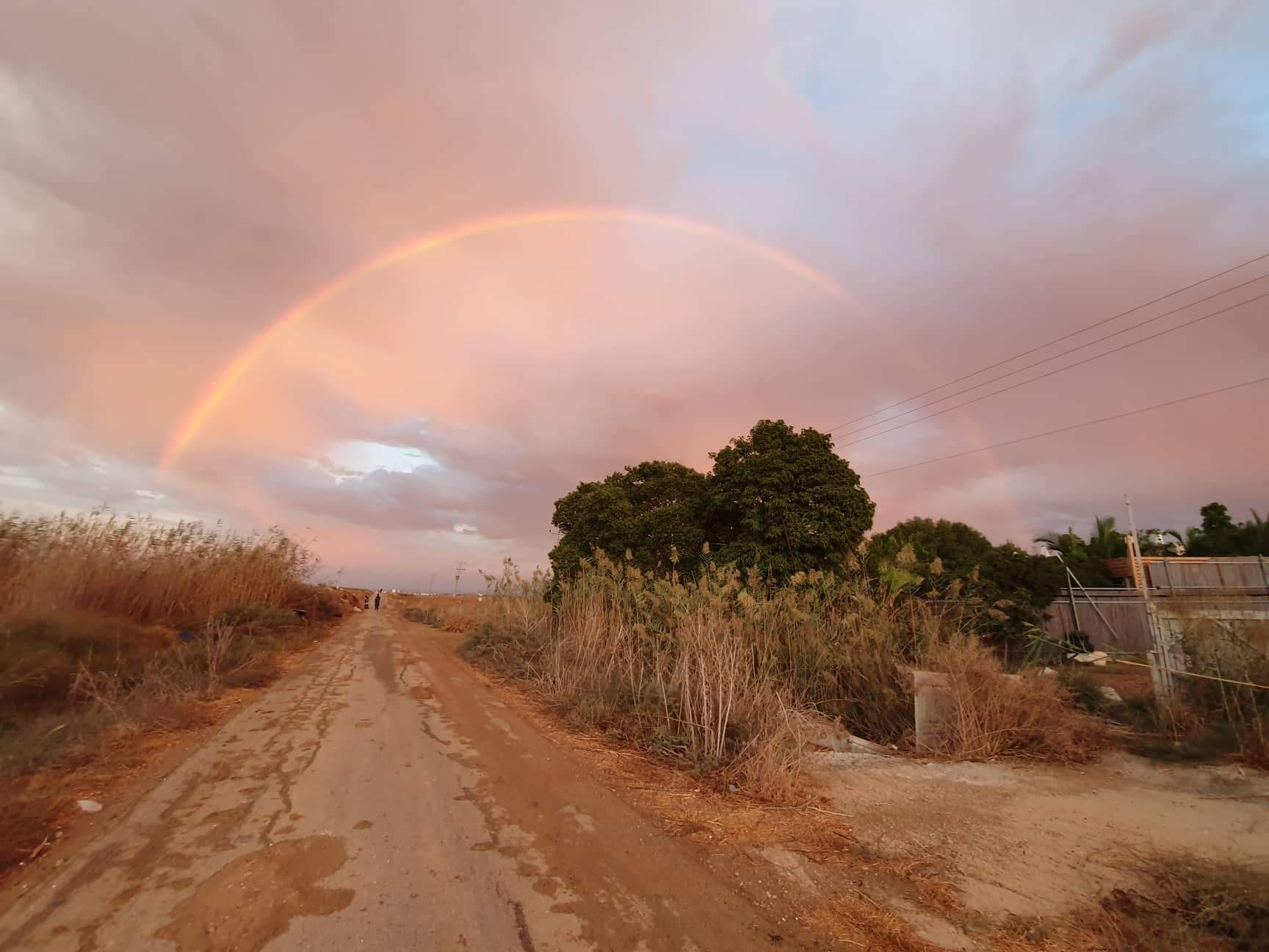 צילום מירב ענתבי בנהורה