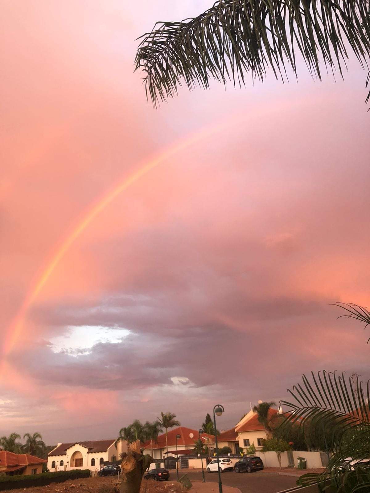 צילום מיתר לוי
