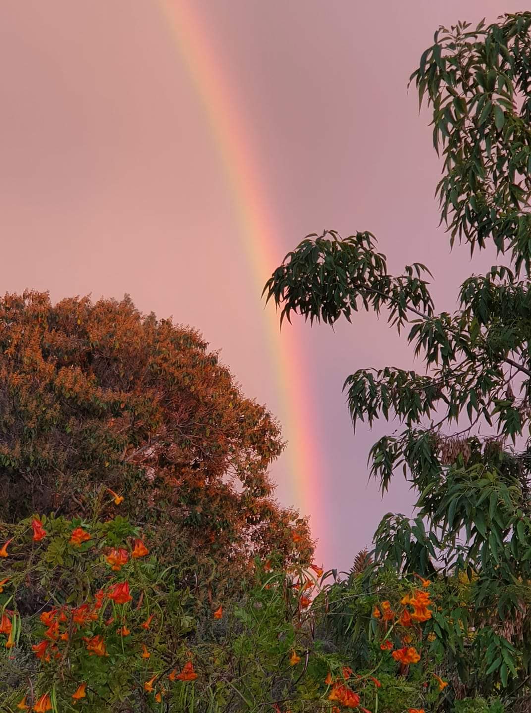 ענת תבורי קיבוץ בארי