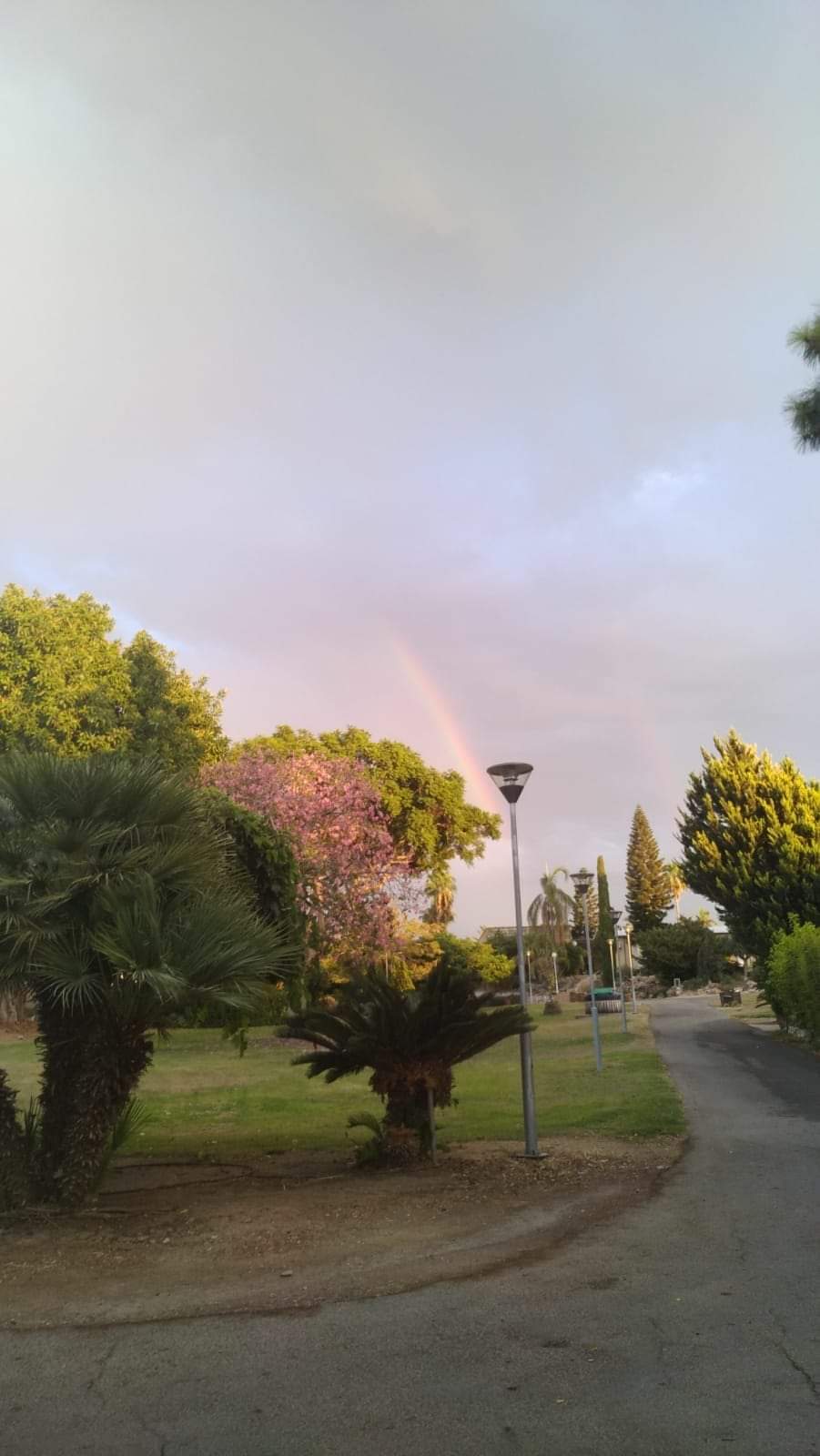 קיבוץ כרמיה צילום ולריה לרה משינסקי