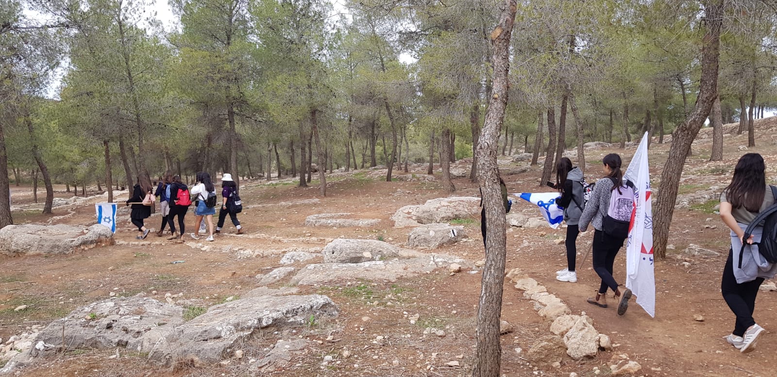 תיכון המר נתיבות צועדים ביער יתיר