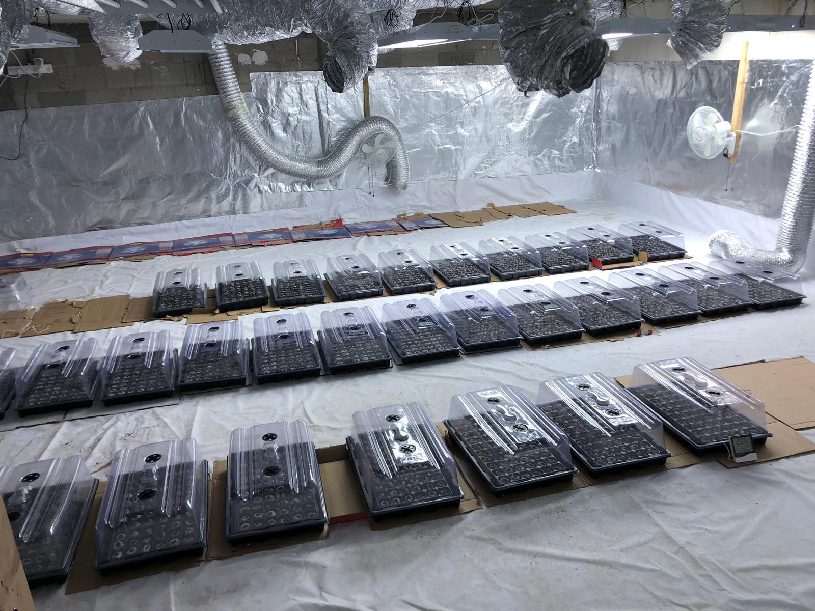 דוברות משטרה