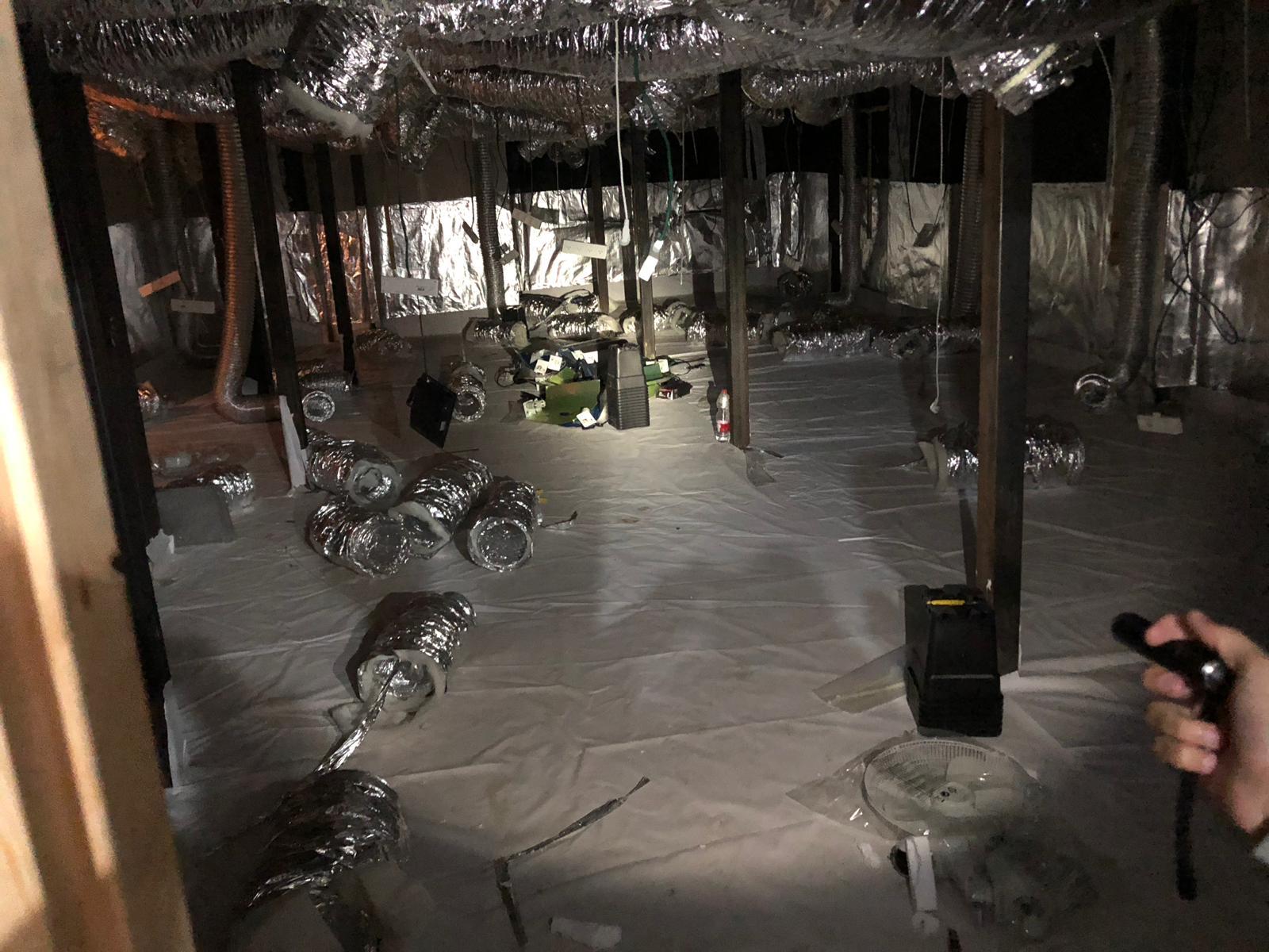 דוברות משטרה