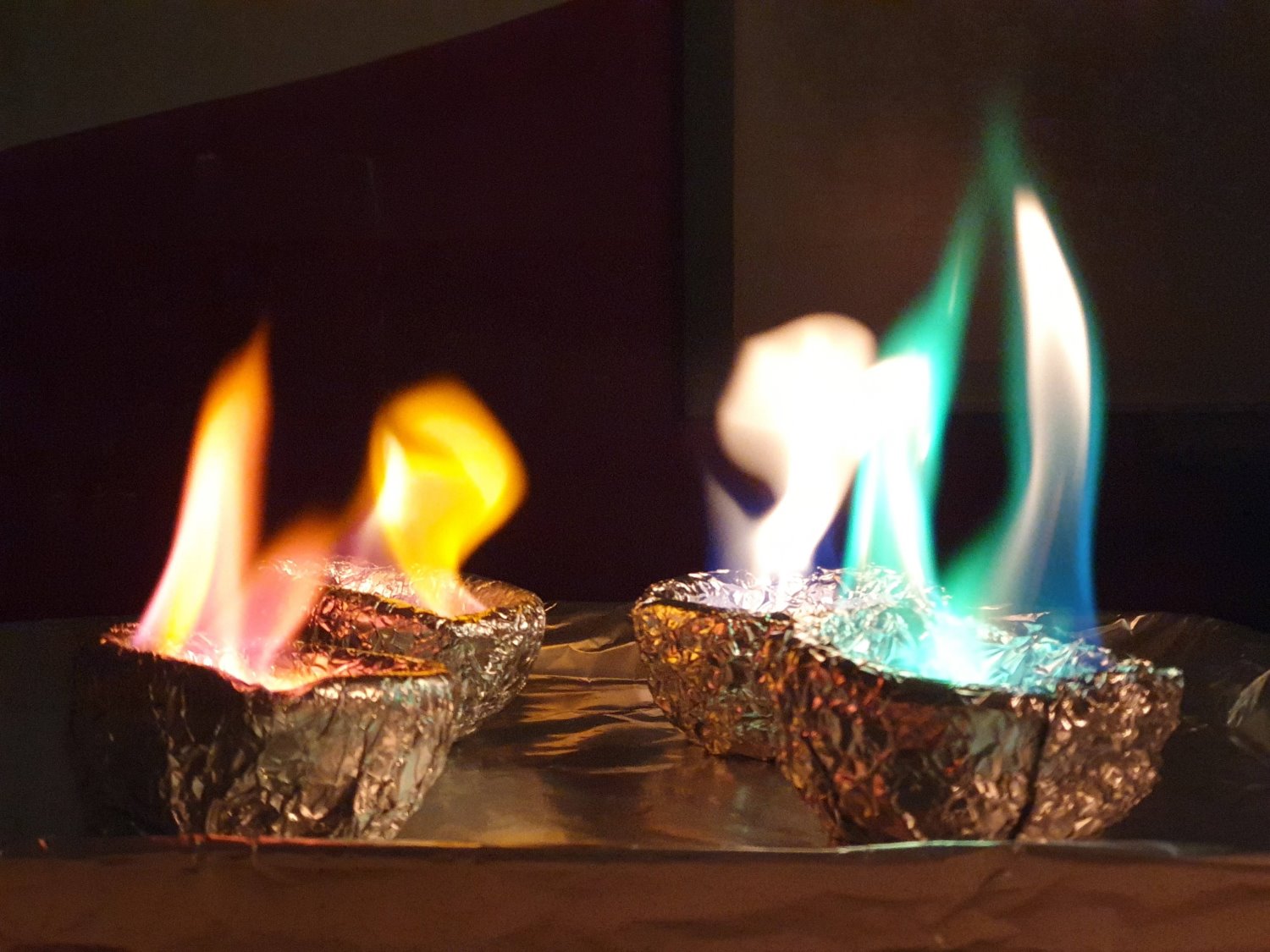 צילום באדיבות פארק קרסו למדע