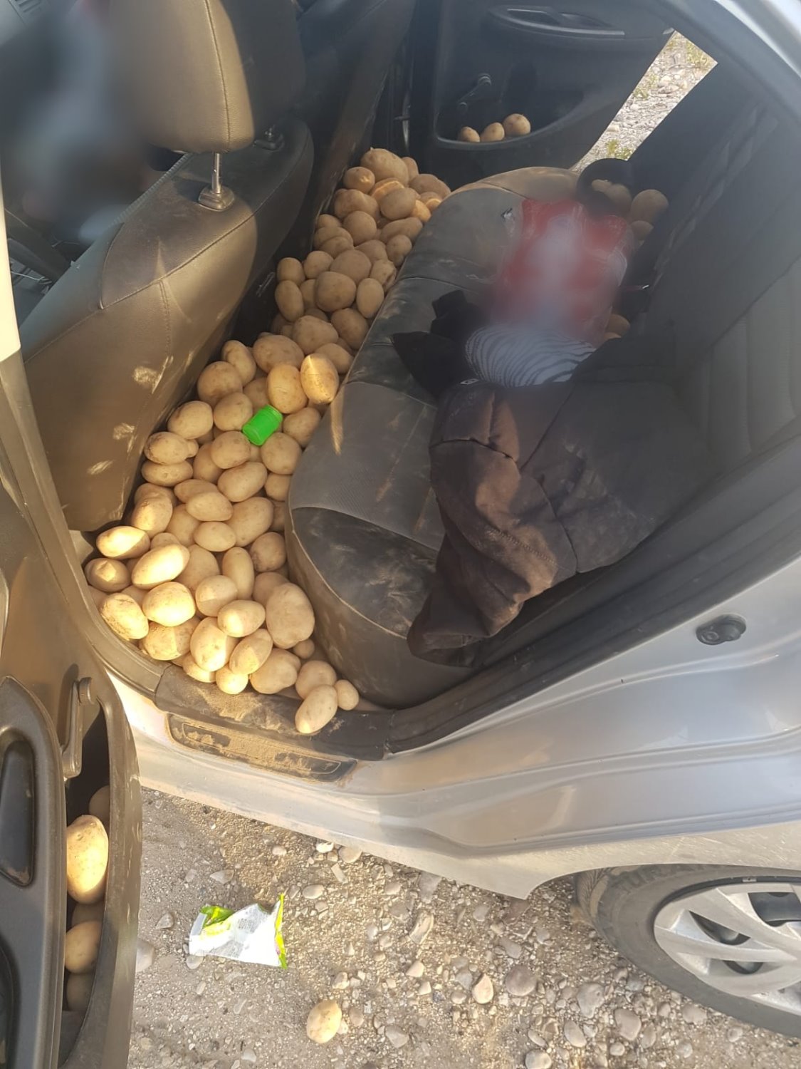 דוברות משטרה