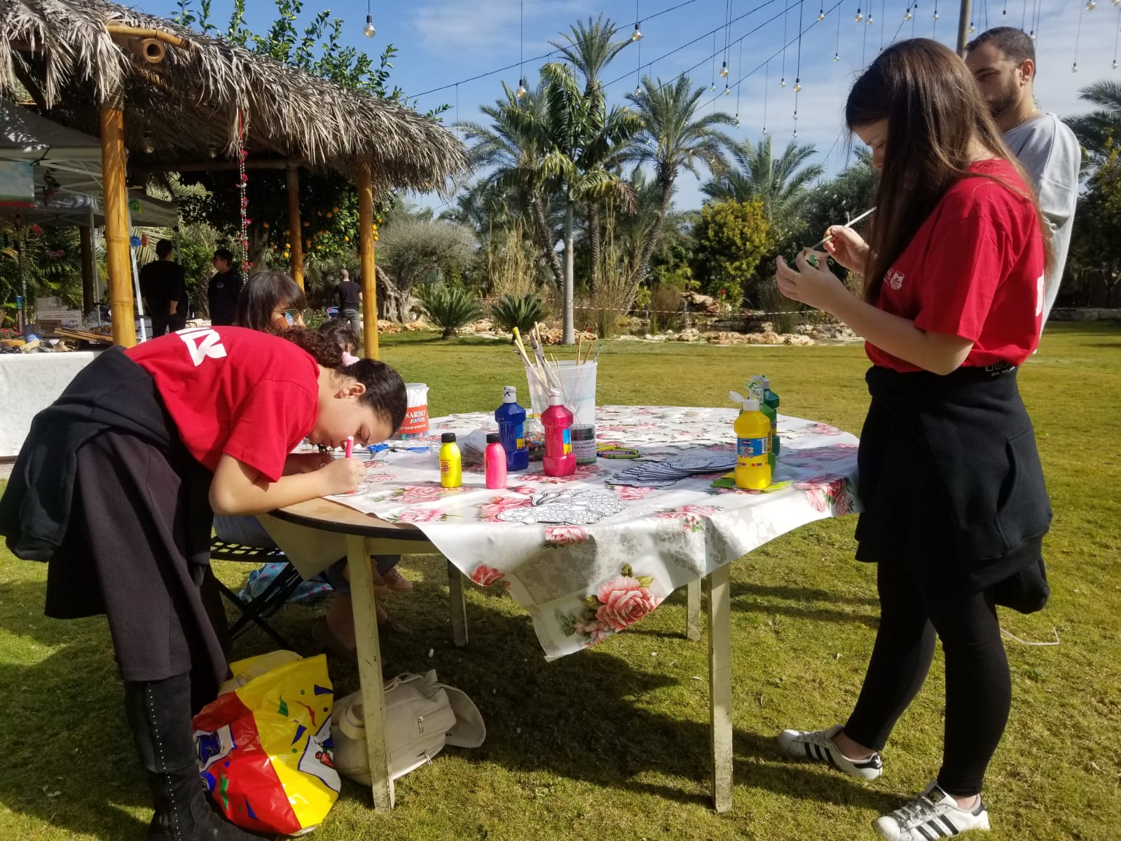 מועצת נוער שדות נגב