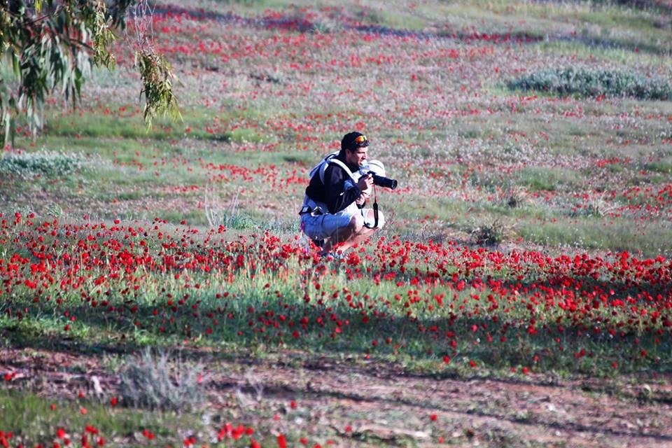 יער שוקדה - צילום צביקה פלדמן