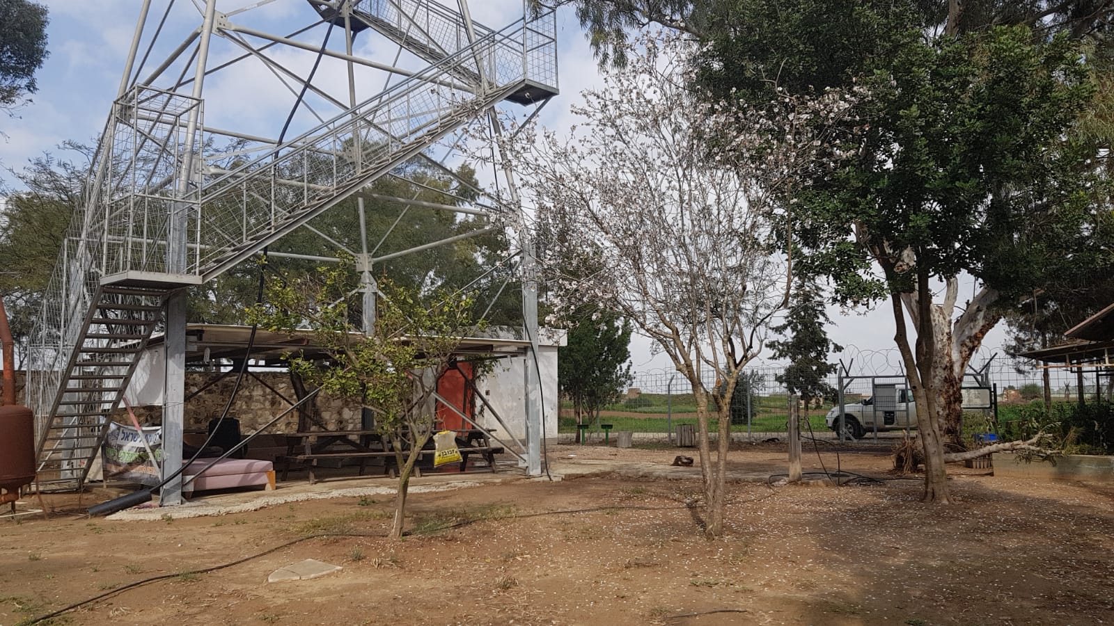 השקדיה במגדל צילום קק&quot;ל