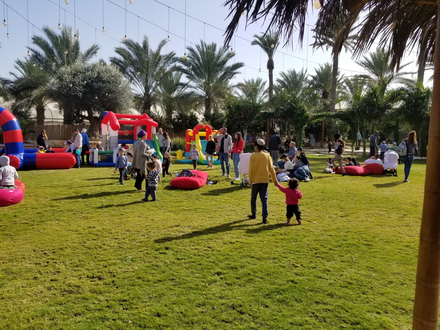 קרדיט צילום- עמית גור