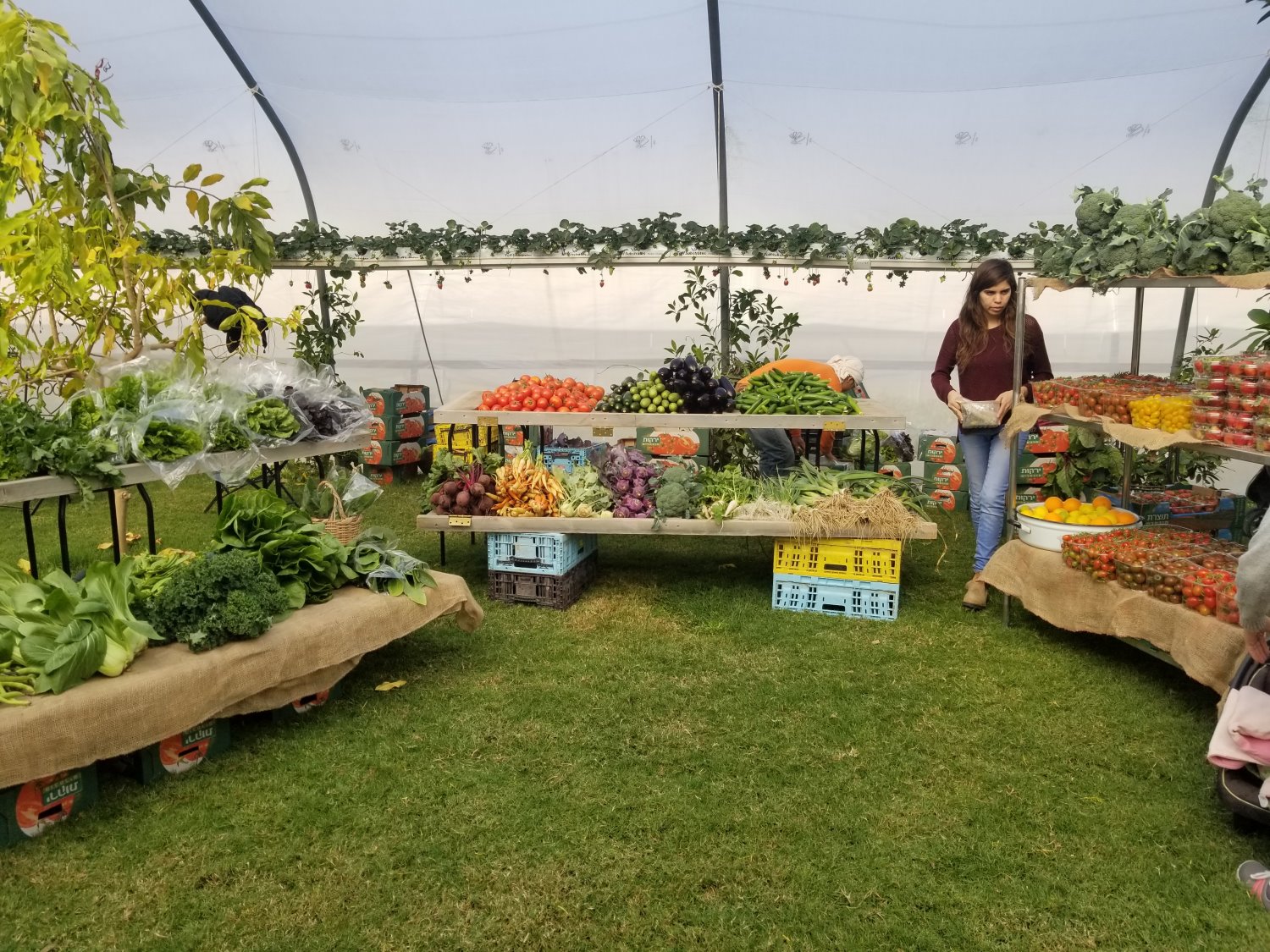 קרדיט צילום- עמית גור