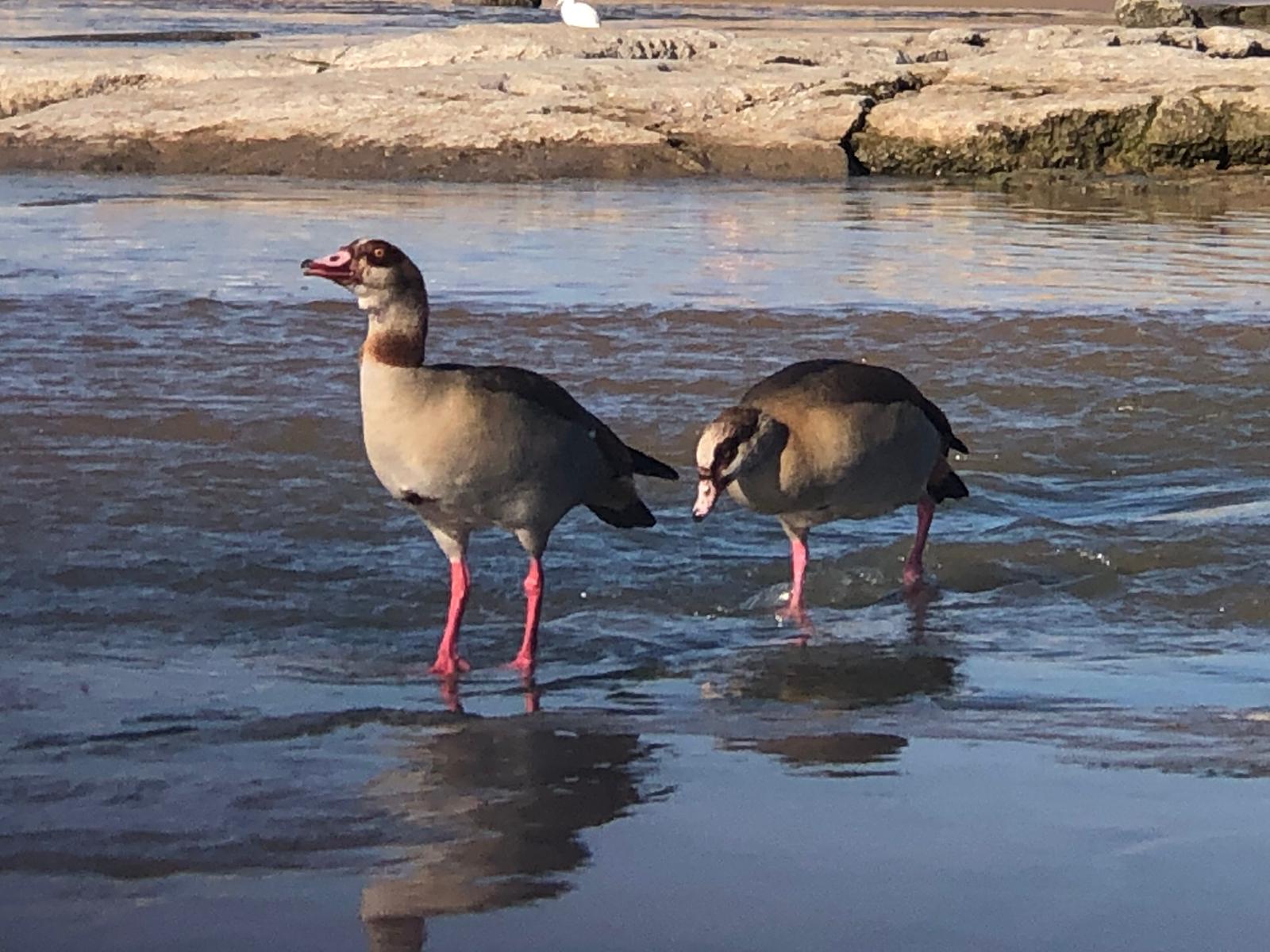 צילום: שמוליק דוד