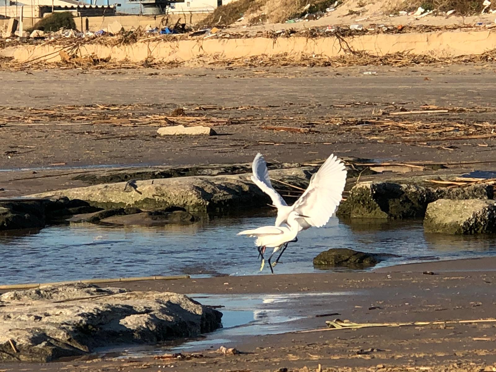 צילום: שמוליק דוד