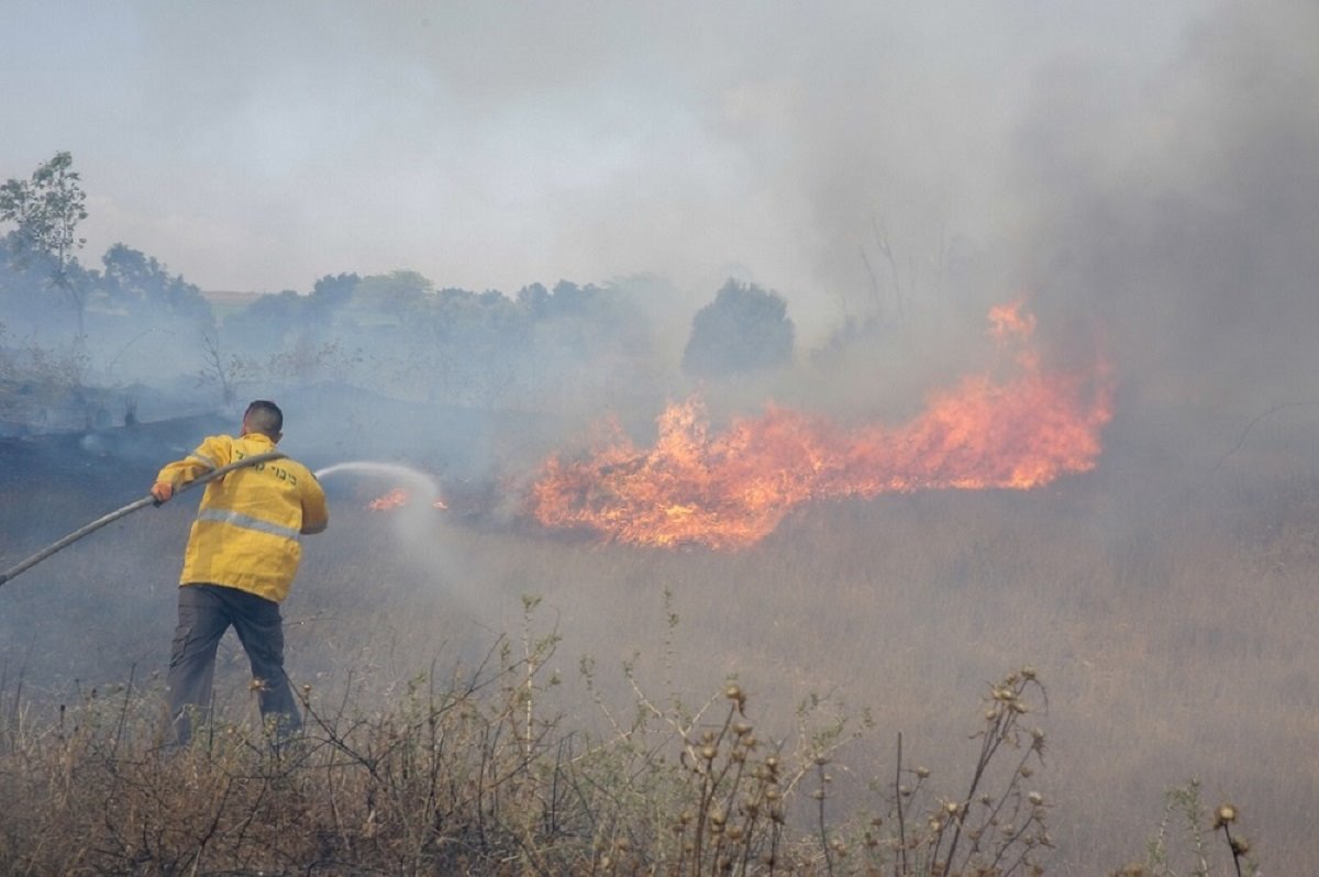 צילום יהודה פרץ קק&quot;ל