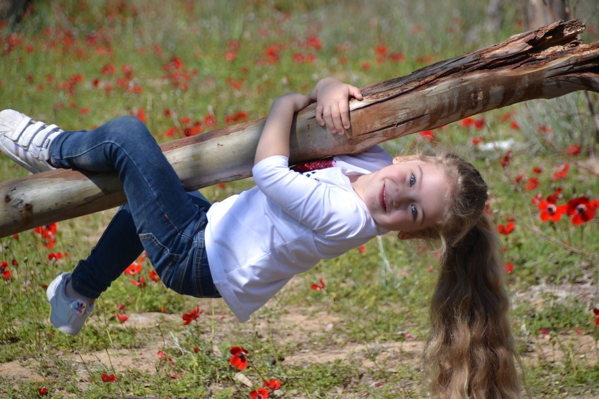 דרום אדום- צילום אלדה נתנאל