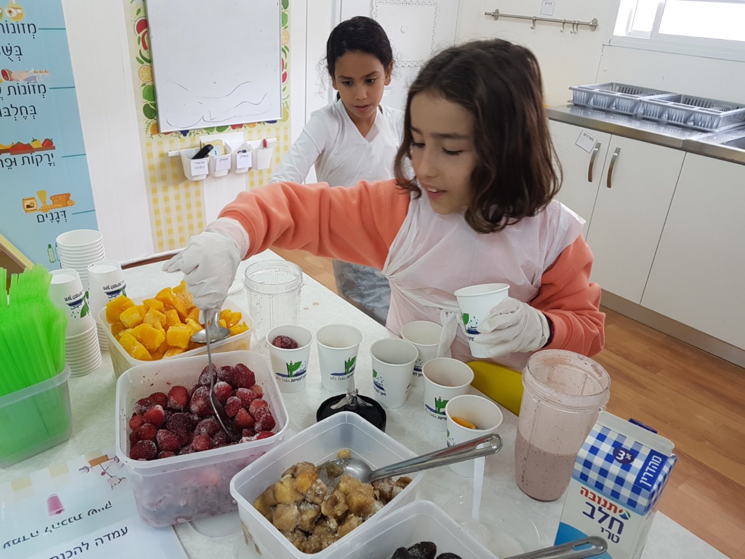 מ.א נחל שורק