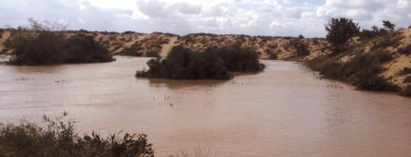 אגם חורף בניצן