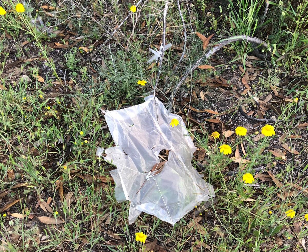 דוברות כבה דרום