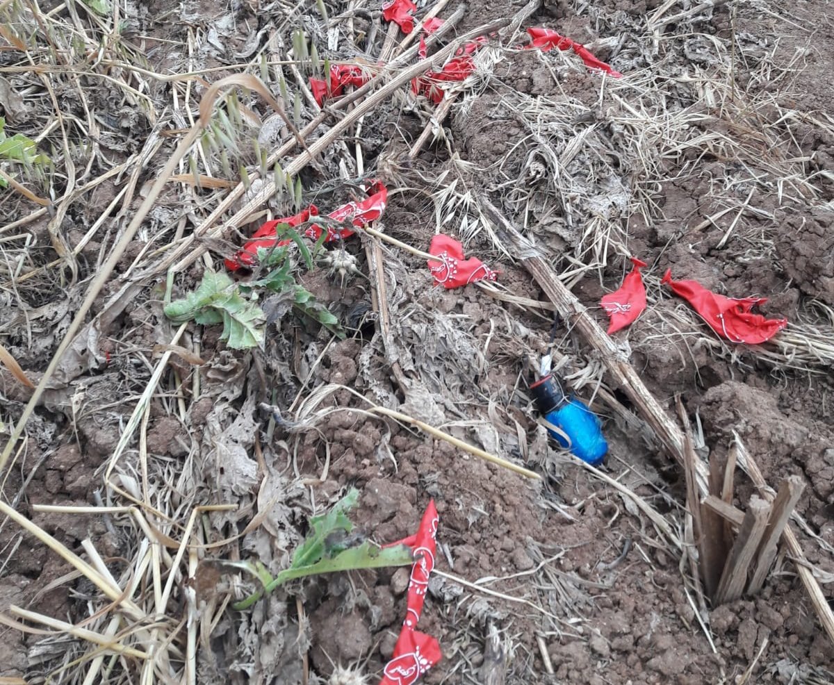 ביטחון שער הנגב