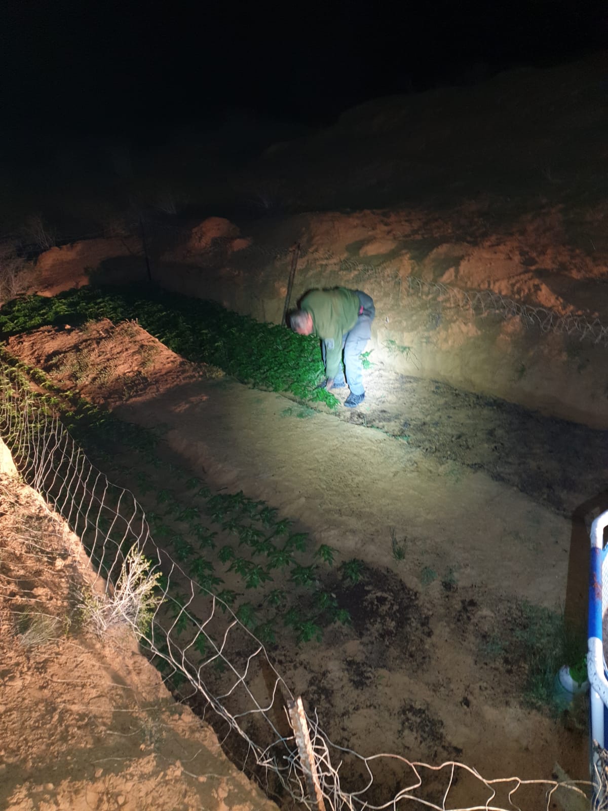 דוברות משטרה