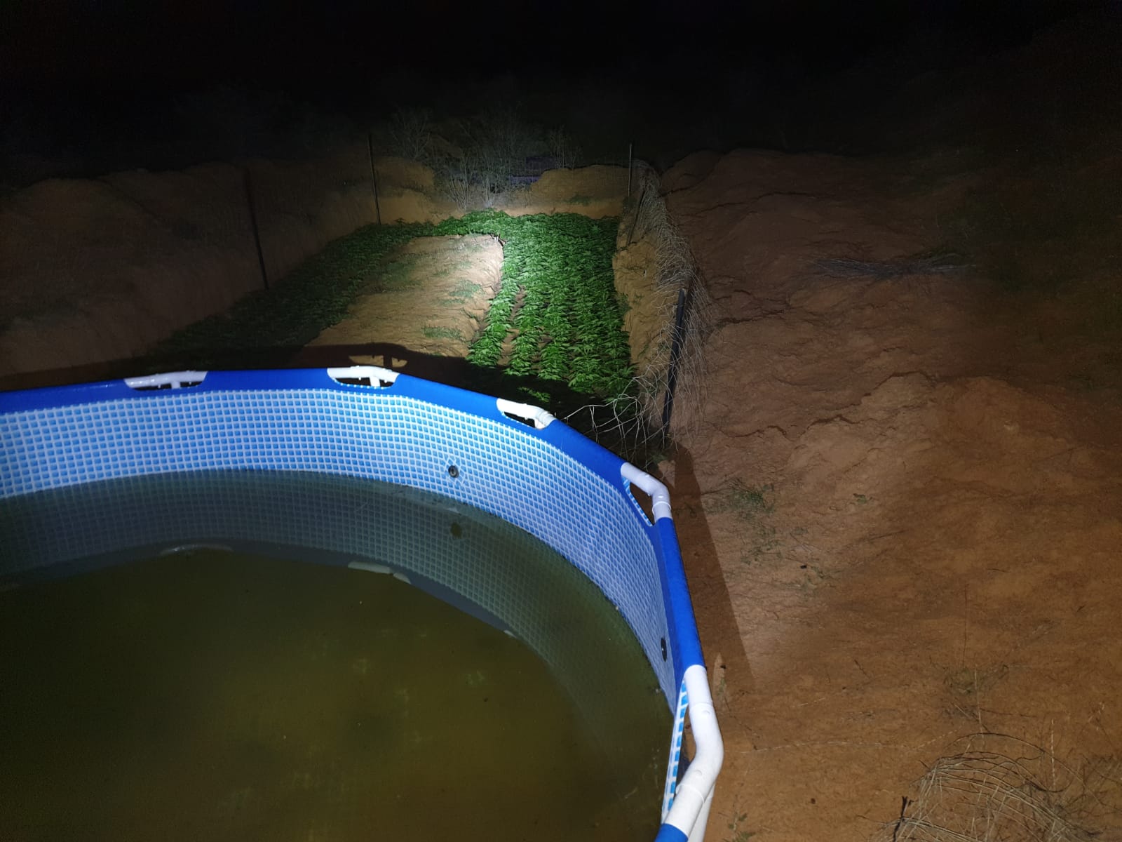 דוברות משטרה