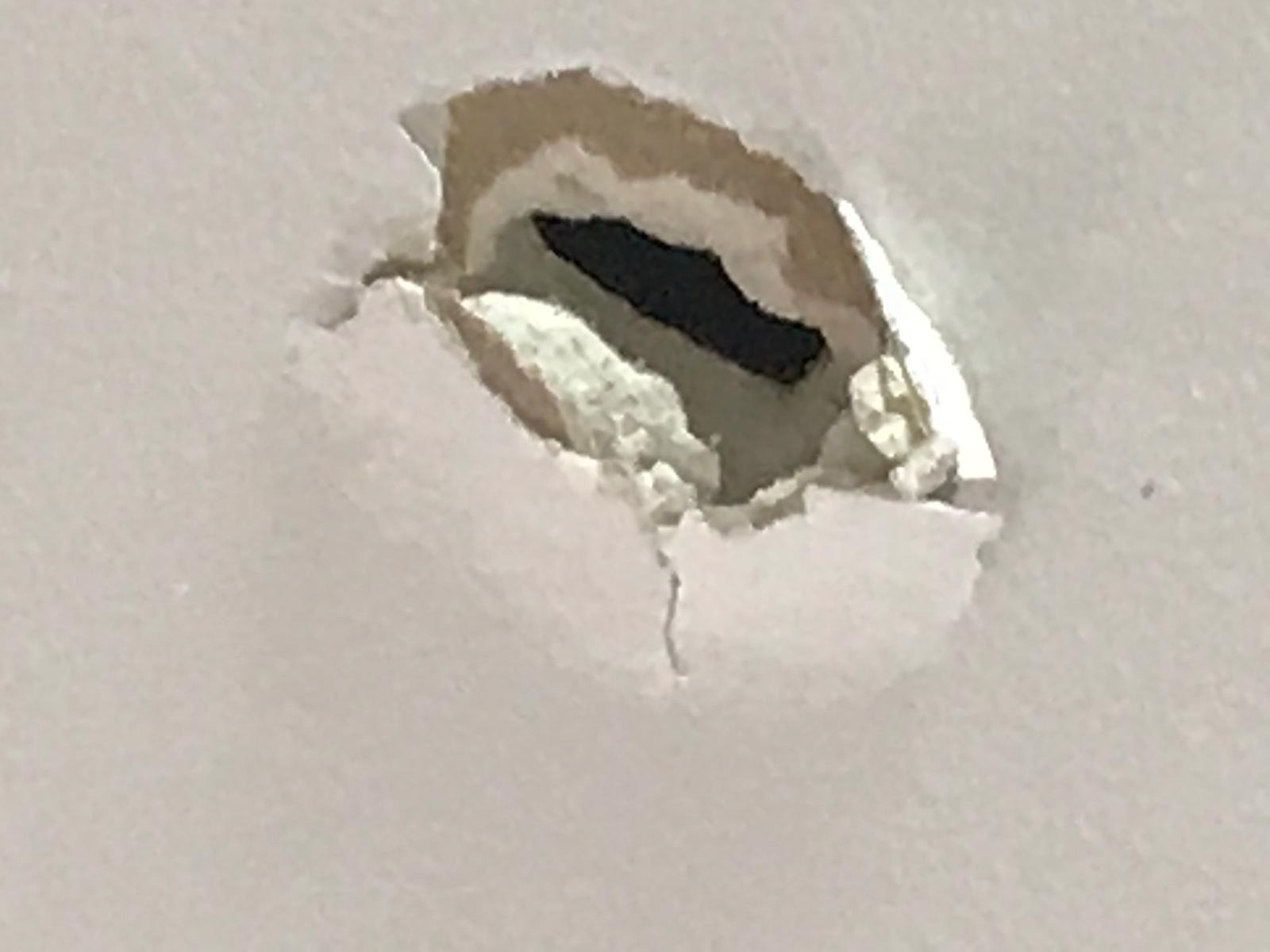 צילום איתי אלמוג