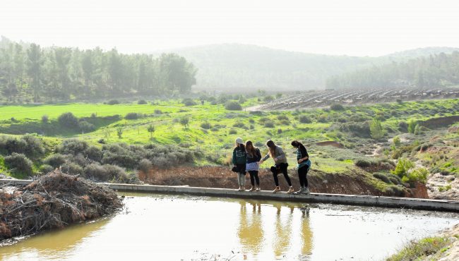 סכר אדוריים