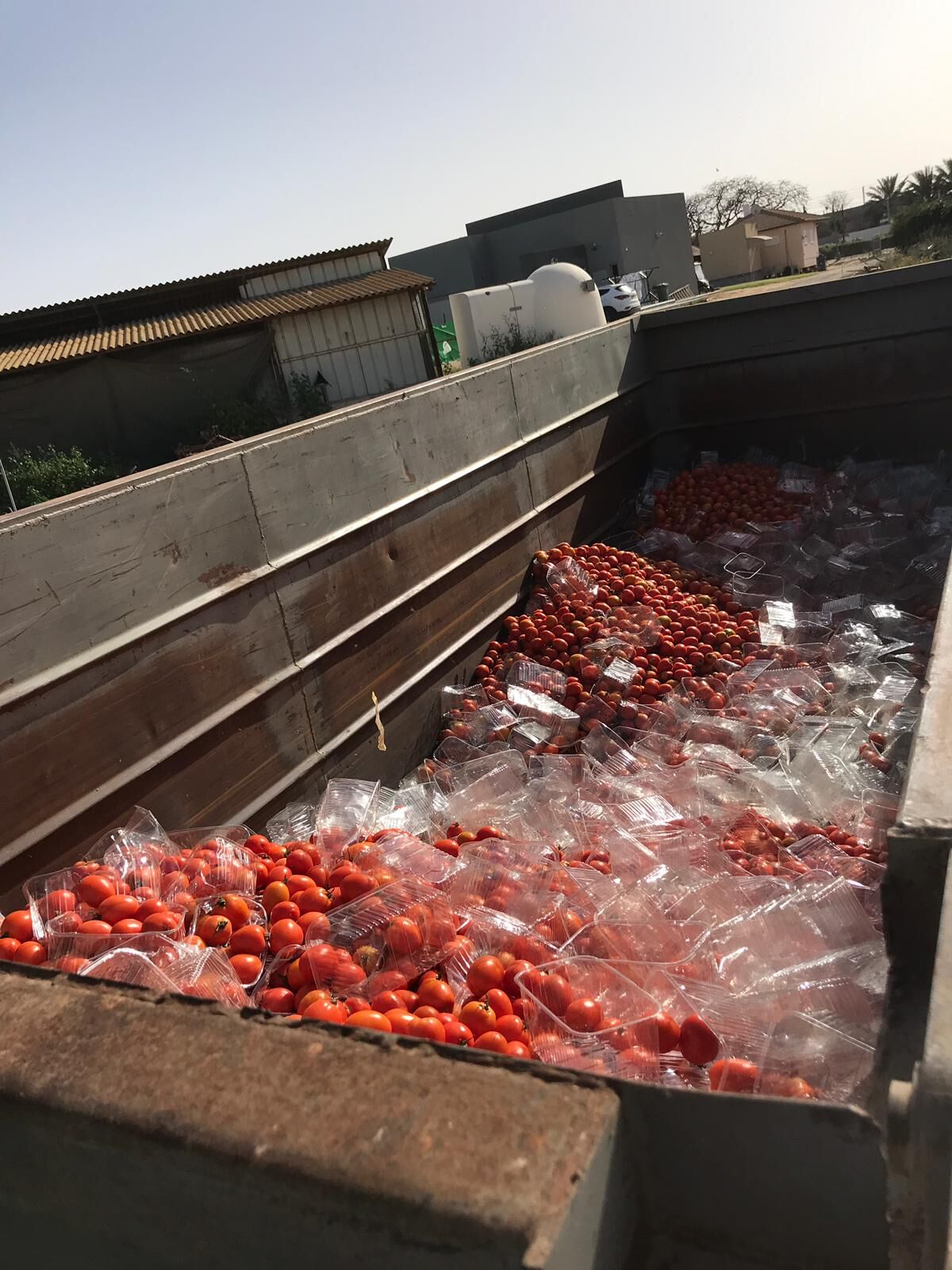 דוברות משטרה