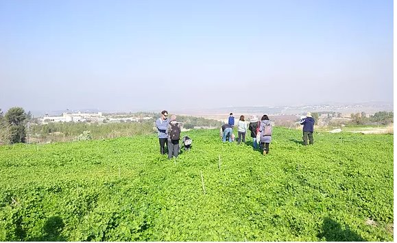 מפגשי ליקוט