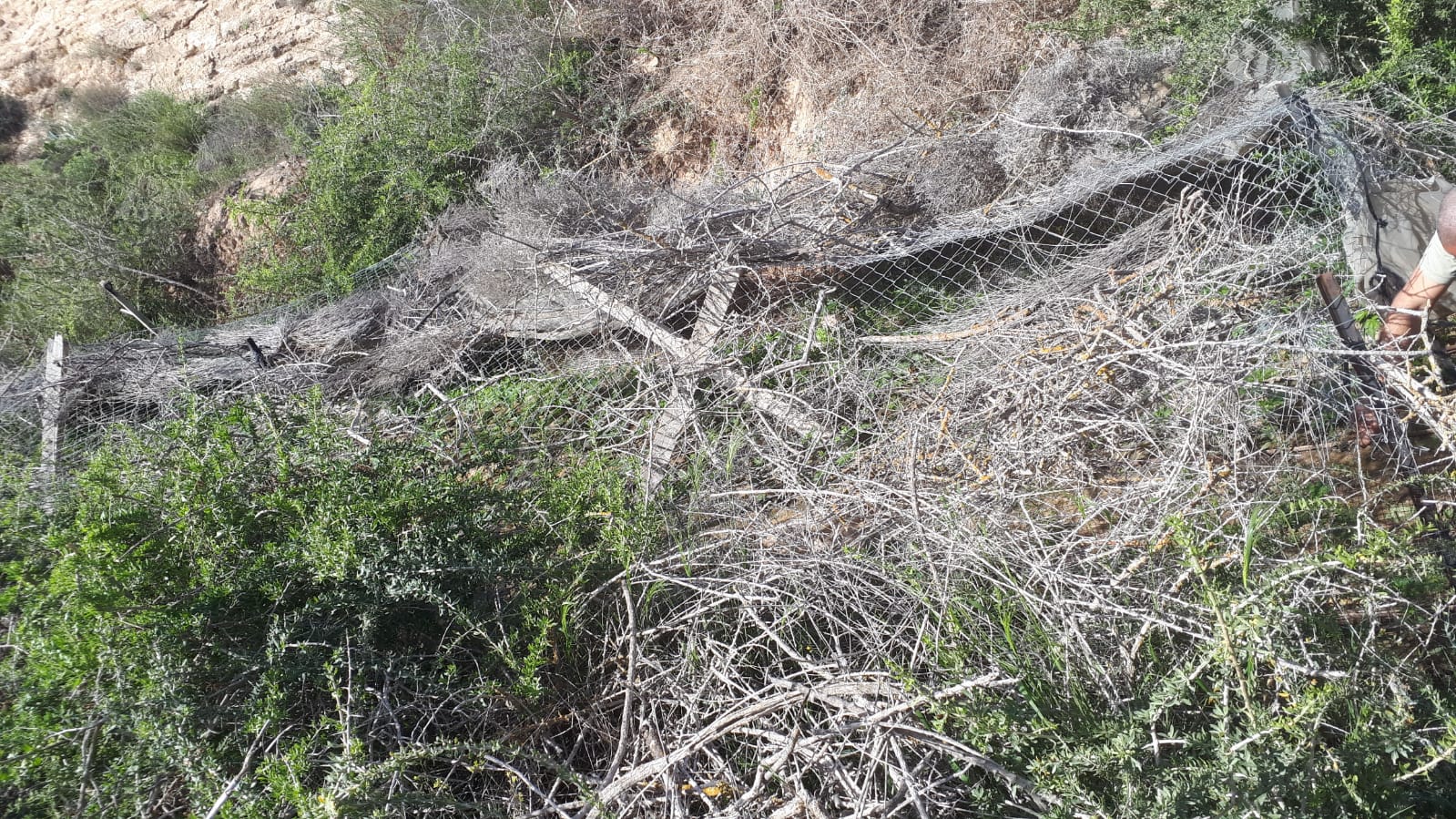 דוברות משטרה