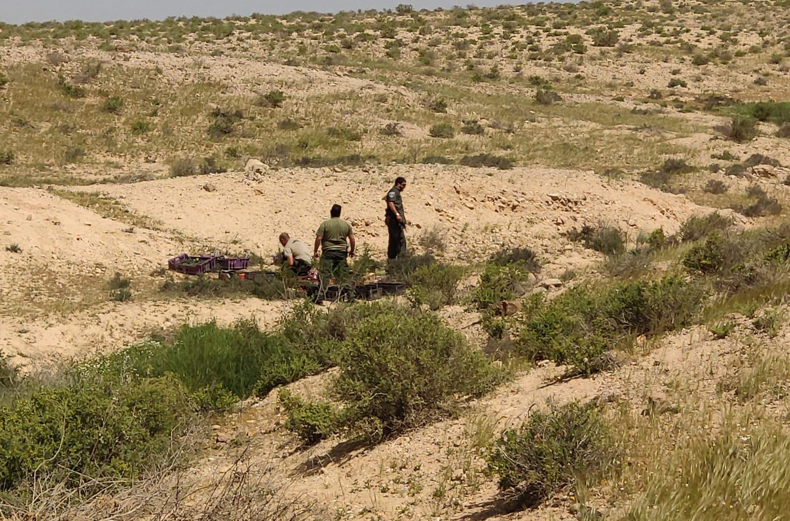 דוברות משטרה