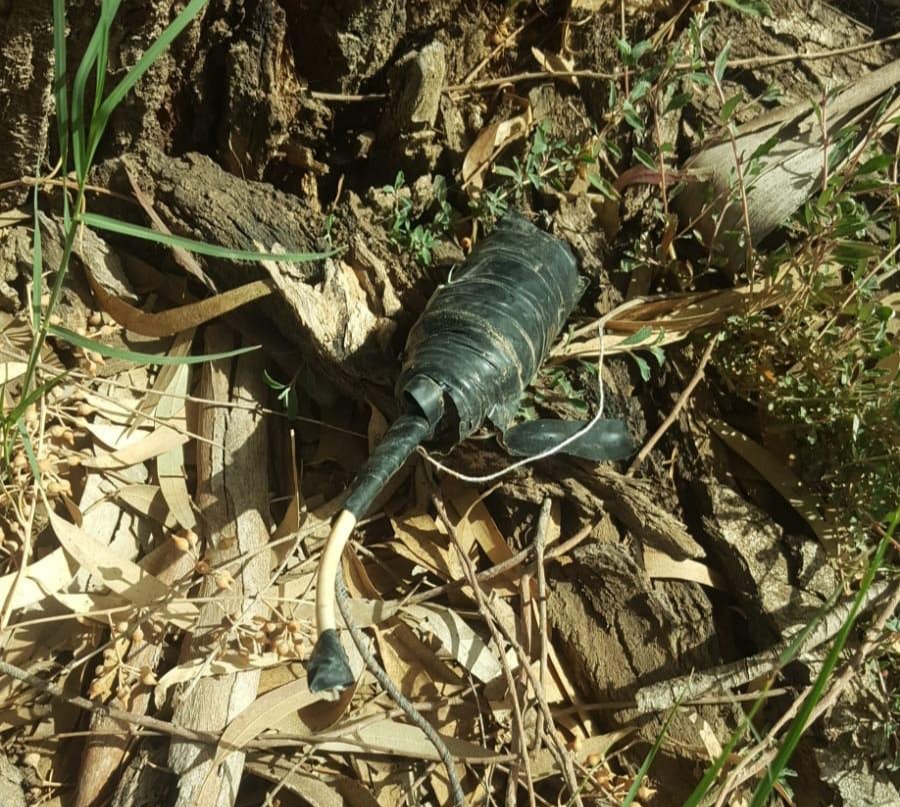 בטחון אשכול