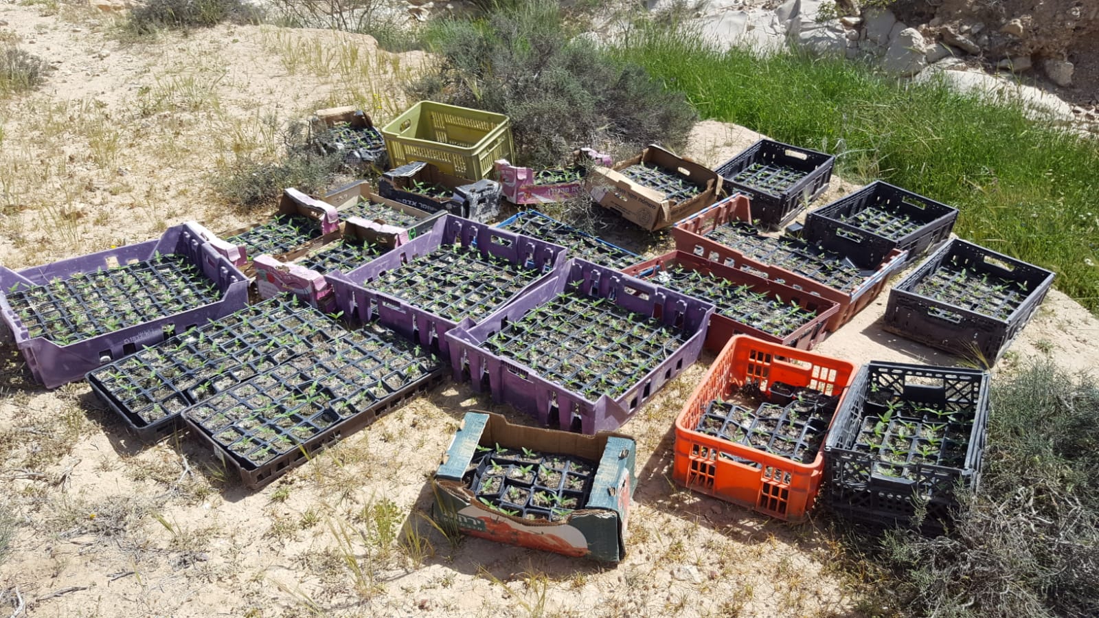 דוברות משטרה