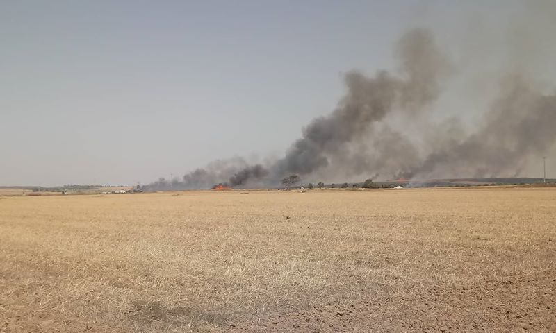 צילום נתנאל אסרף