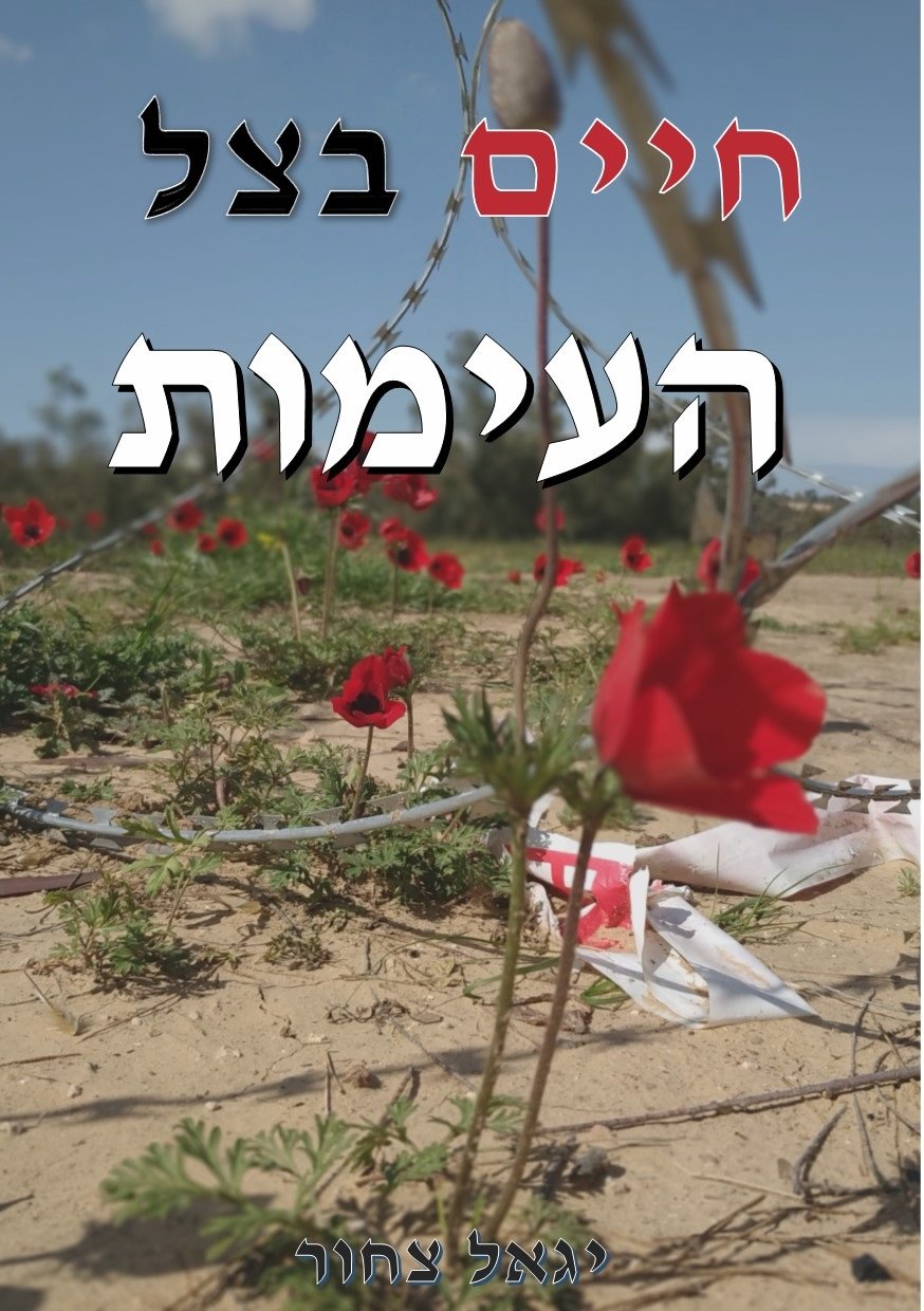 עטיפת הספר. "המרואיינים משדרות שותפים לדעה שממשלת ישראל החמיצה את ההזדמנות להגיע להסדר אחרי צוק איתן"