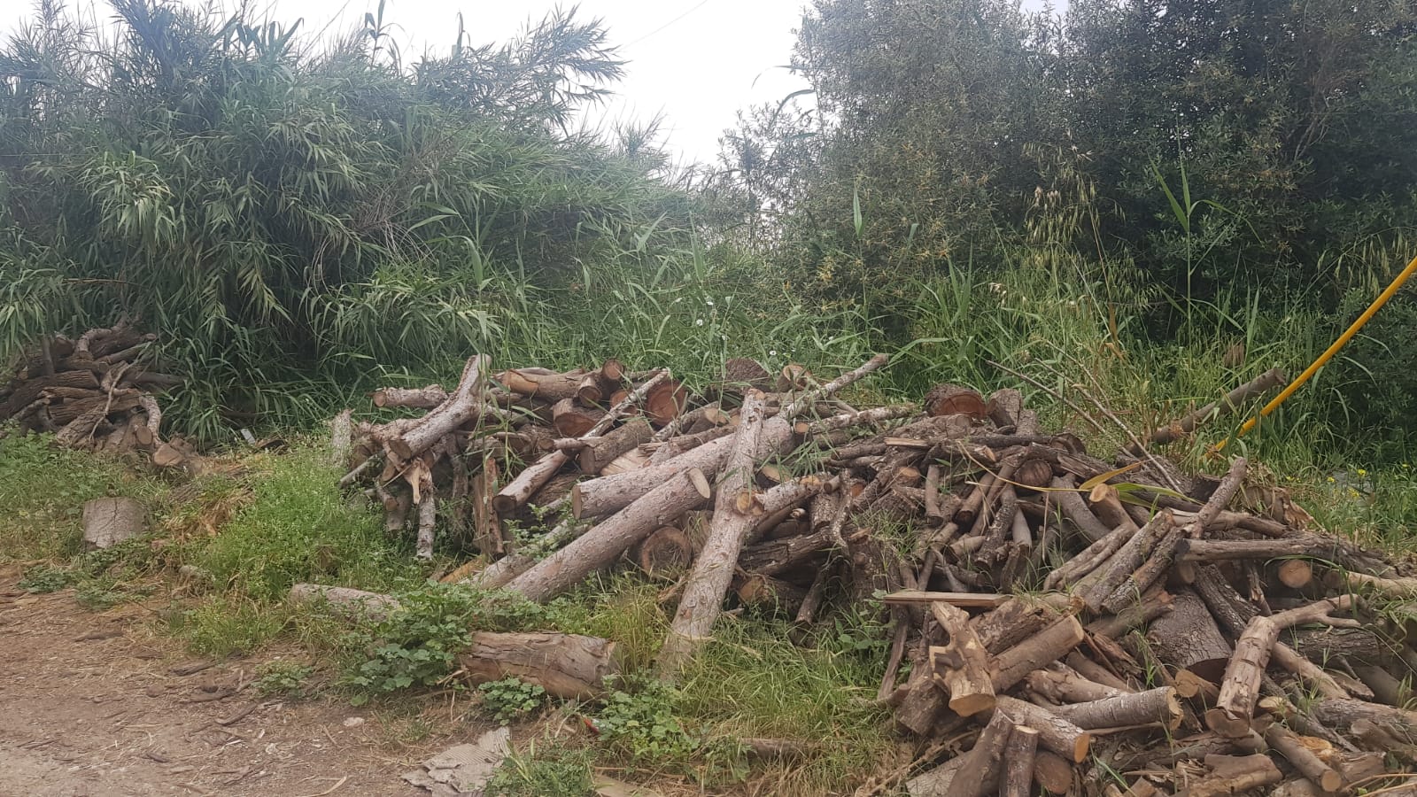 דוברות כבה דרום