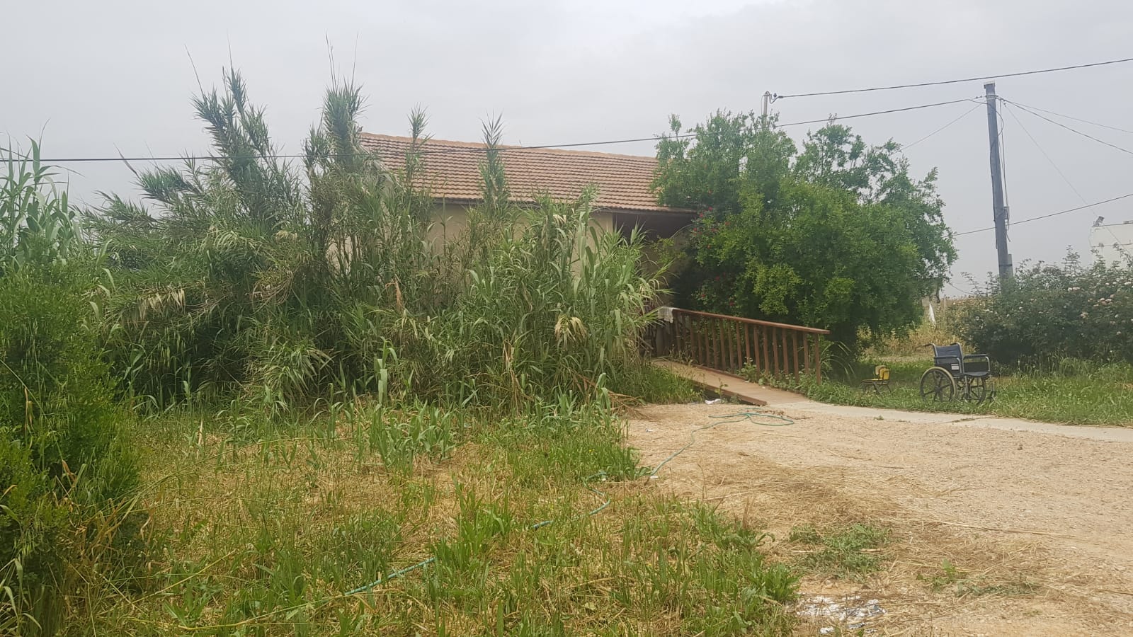 דוברות כבה דרום צולם במושב קוממיות