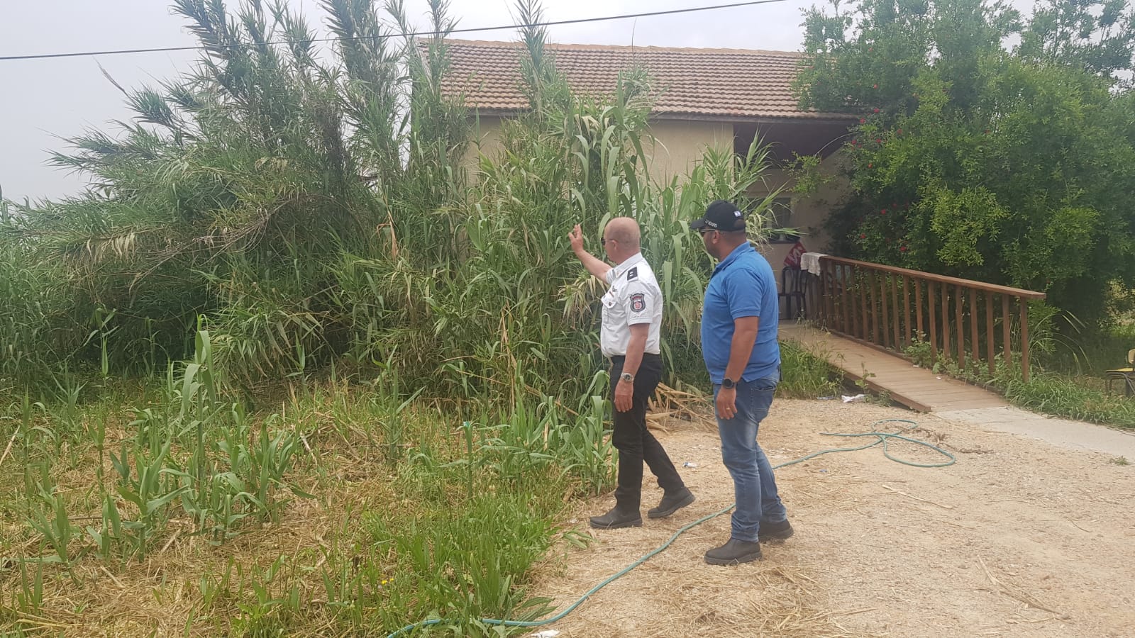 דוברות כבה דרום צולם במושב קוממיות