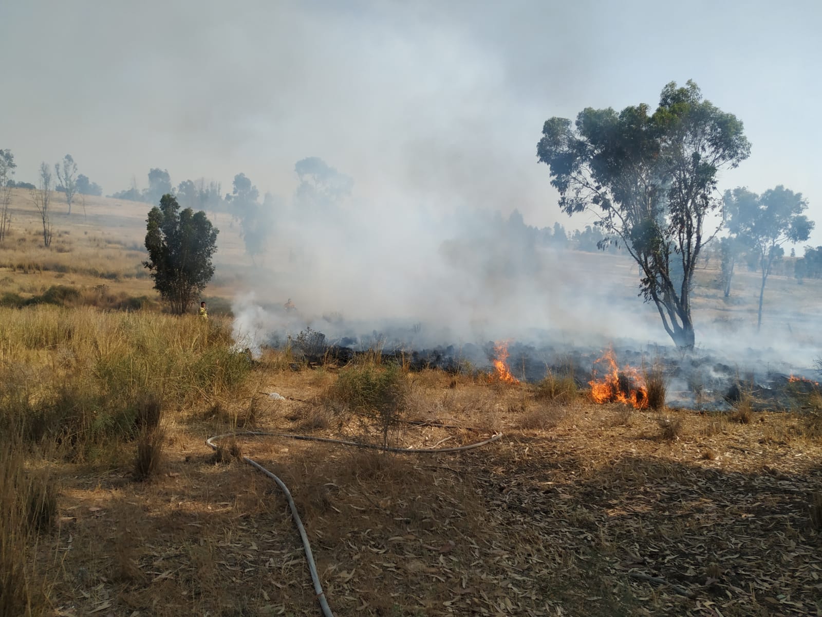 דוברות כב"ה מחוז דרום