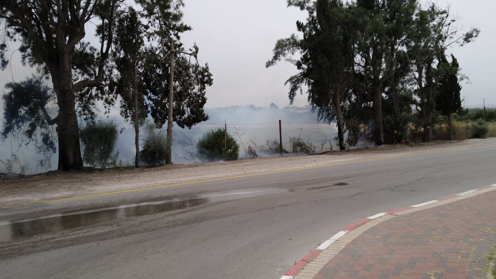 צילום: אלירן בן עזרי