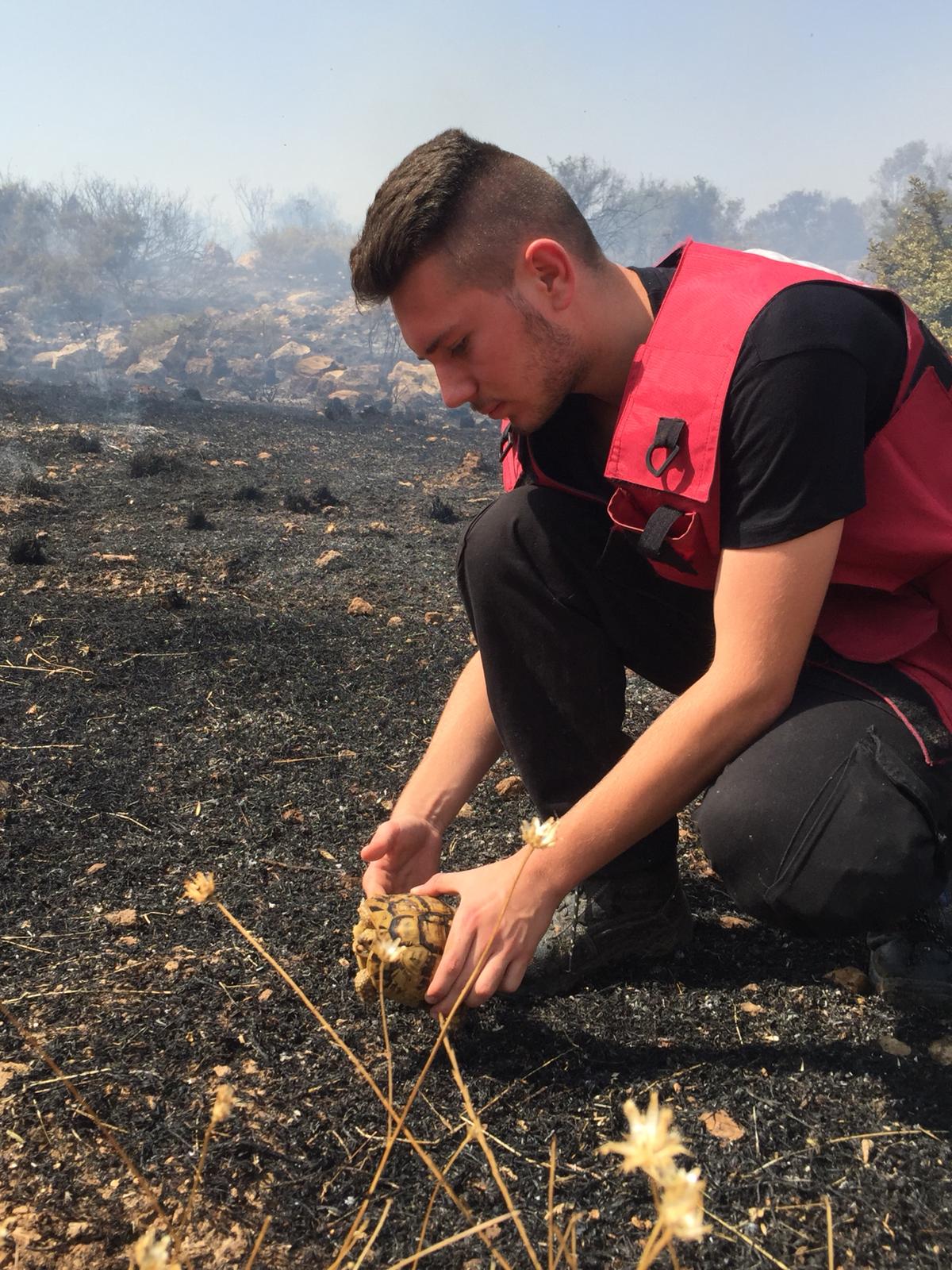 דוברות כב"ה מחוז דרום