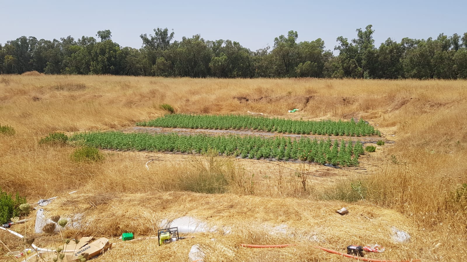 דוברות משטרה