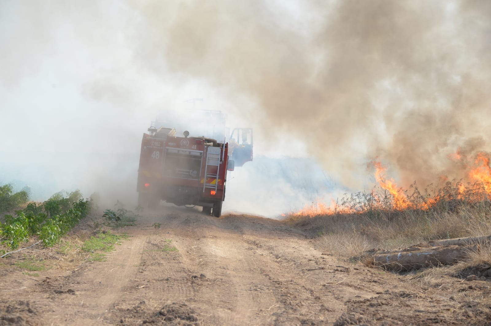 דוברות כב&quot;ה מחוז דרום