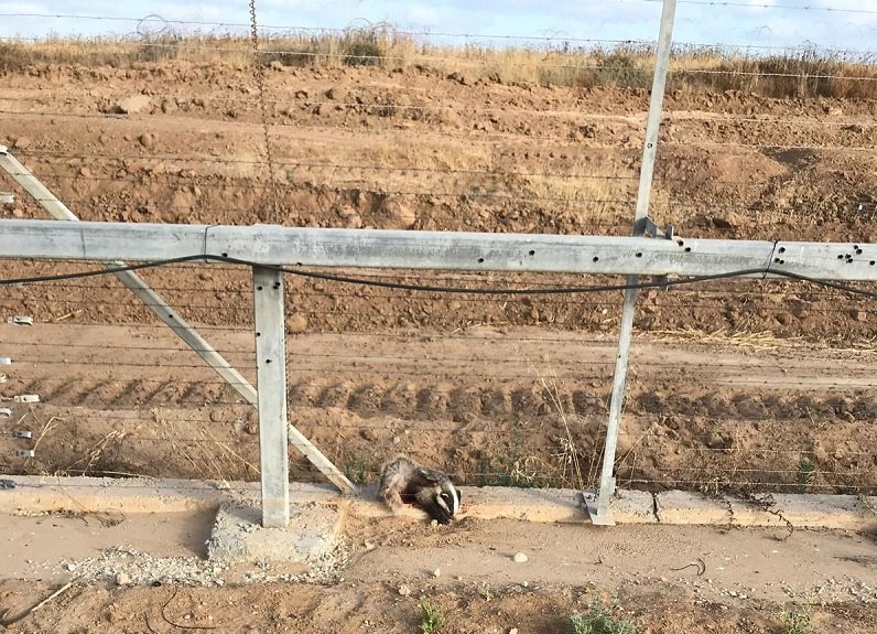 מיזם צבא הגנה לטבע